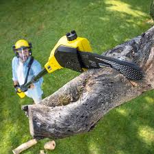 Best Firewood Processing and Delivery  in Red Hill, SC