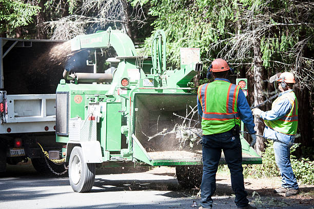 Best Tree and Shrub Care  in Red Hill, SC