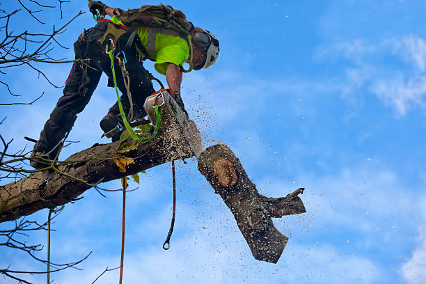 Best Lawn Watering Services  in Red Hill, SC